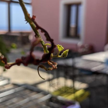 Horizon Pantelleria Bed & Breakfast Campobello Exterior photo