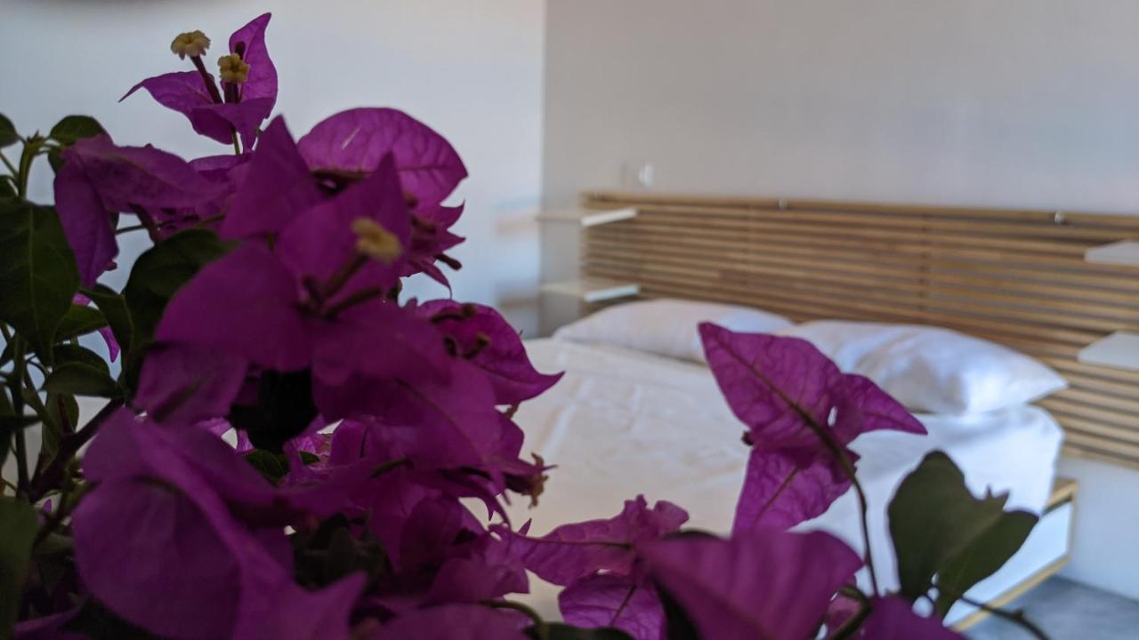 Horizon Pantelleria Bed & Breakfast Campobello Exterior photo